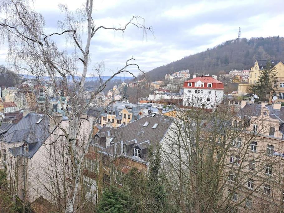Vila Historica Karlsbad Exterior foto